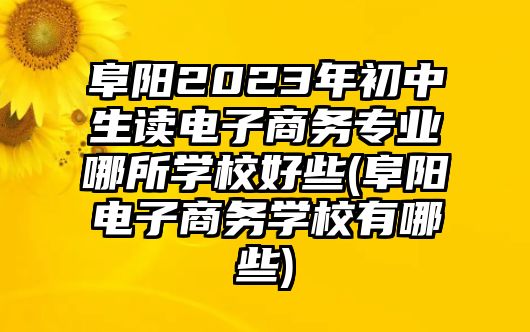 阜陽2023年初中生讀電子商務(wù)專業(yè)哪所學(xué)校好些(阜陽電子商務(wù)學(xué)校有哪些)