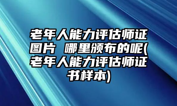 老年人能力評(píng)估師證圖片 哪里頒布的呢(老年人能力評(píng)估師證書樣本)