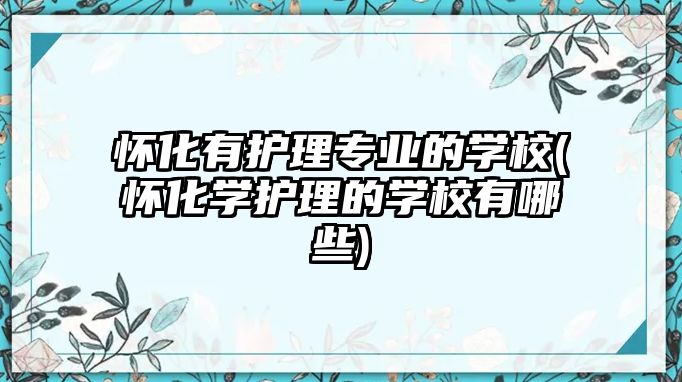 懷化有護理專業(yè)的學校(懷化學護理的學校有哪些)