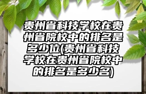 貴州省科技學(xué)校在貴州省院校中的排名是多少位(貴州省科技學(xué)校在貴州省院校中的排名是多少名)