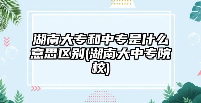 湖南大專和中專是什么意思區(qū)別(湖南大中專院校)