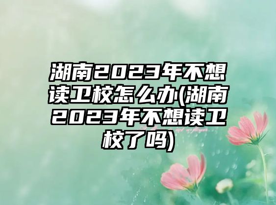 湖南2023年不想讀衛(wèi)校怎么辦(湖南2023年不想讀衛(wèi)校了嗎)