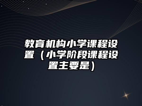 教育機(jī)構(gòu)小學(xué)課程設(shè)置（小學(xué)階段課程設(shè)置主要是）