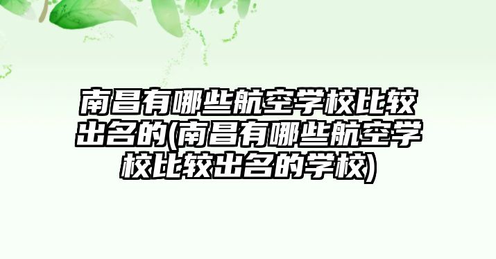 南昌有哪些航空學校比較出名的(南昌有哪些航空學校比較出名的學校)