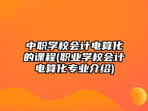 中職學(xué)校會(huì)計(jì)電算化的課程(職業(yè)學(xué)校會(huì)計(jì)電算化專業(yè)介紹)