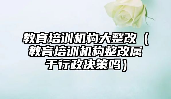 教育培訓機構(gòu)大整改（教育培訓機構(gòu)整改屬于行政決策嗎）