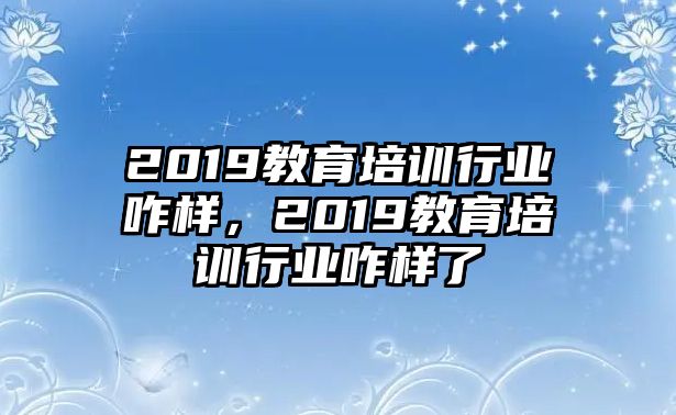 2019教育培訓(xùn)行業(yè)咋樣，2019教育培訓(xùn)行業(yè)咋樣了