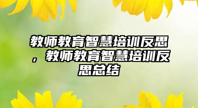 教師教育智慧培訓(xùn)反思，教師教育智慧培訓(xùn)反思總結(jié)