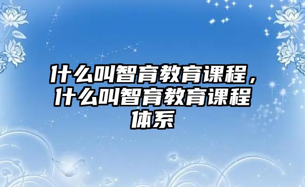 什么叫智育教育課程，什么叫智育教育課程體系