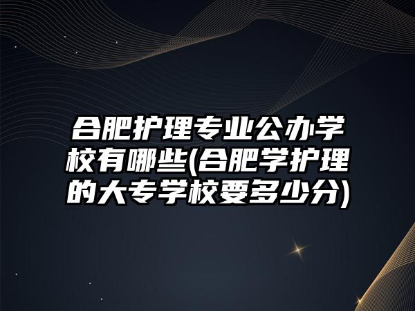 合肥護(hù)理專業(yè)公辦學(xué)校有哪些(合肥學(xué)護(hù)理的大專學(xué)校要多少分)