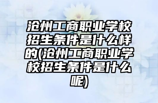 滄州工商職業(yè)學校招生條件是什么樣的(滄州工商職業(yè)學校招生條件是什么呢)