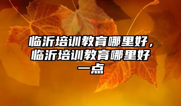 臨沂培訓(xùn)教育哪里好，臨沂培訓(xùn)教育哪里好一點