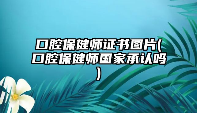 口腔保健師證書(shū)圖片(口腔保健師國(guó)家承認(rèn)嗎)