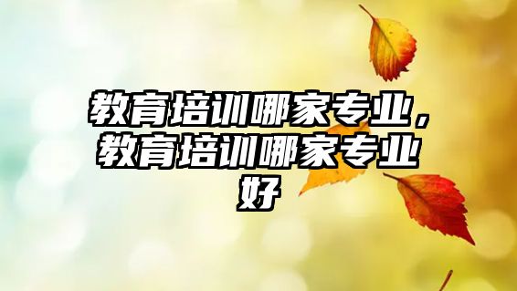 教育培訓(xùn)哪家專業(yè)，教育培訓(xùn)哪家專業(yè)好