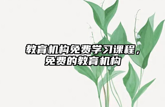 教育機構免費學習課程，免費的教育機構