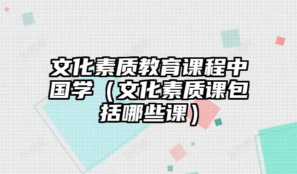 文化素質(zhì)教育課程中國(guó)學(xué)（文化素質(zhì)課包括哪些課）