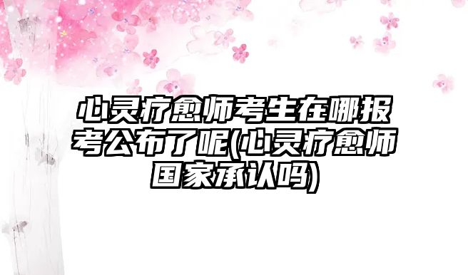 心靈療愈師考生在哪報(bào)考公布了呢(心靈療愈師國(guó)家承認(rèn)嗎)