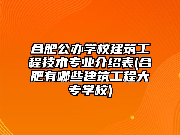 合肥公辦學校建筑工程技術專業(yè)介紹表(合肥有哪些建筑工程大專學校)