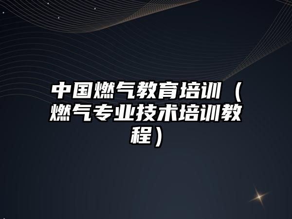 中國(guó)燃?xì)饨逃嘤?xùn)（燃?xì)鈱I(yè)技術(shù)培訓(xùn)教程）