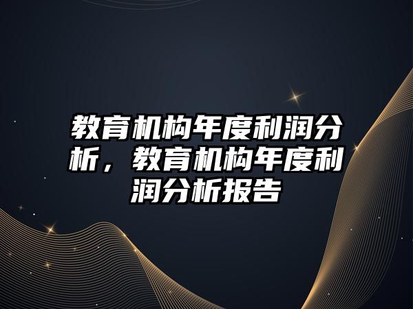 教育機構(gòu)年度利潤分析，教育機構(gòu)年度利潤分析報告