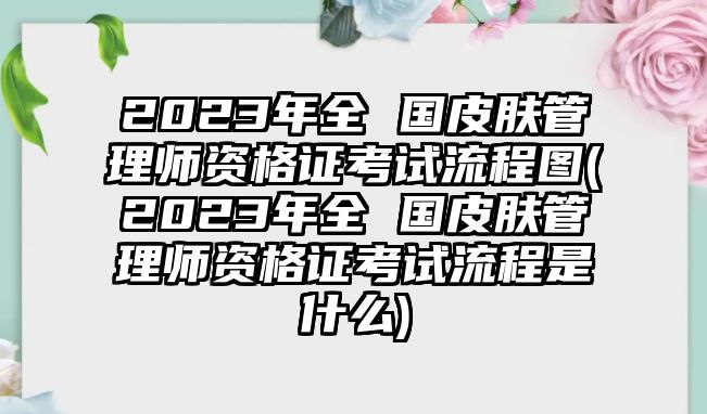 2023年全 國皮膚管理師資格證考試流程圖(2023年全 國皮膚管理師資格證考試流程是什么)