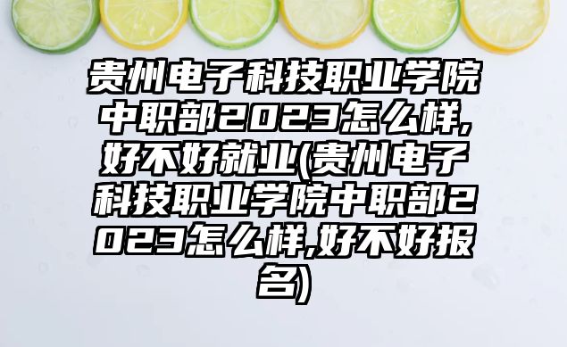 貴州電子科技職業(yè)學(xué)院中職部2023怎么樣,好不好就業(yè)(貴州電子科技職業(yè)學(xué)院中職部2023怎么樣,好不好報(bào)名)