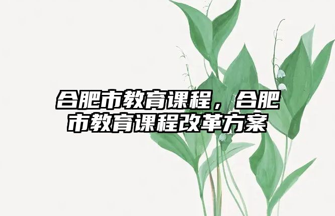 合肥市教育課程，合肥市教育課程改革方案