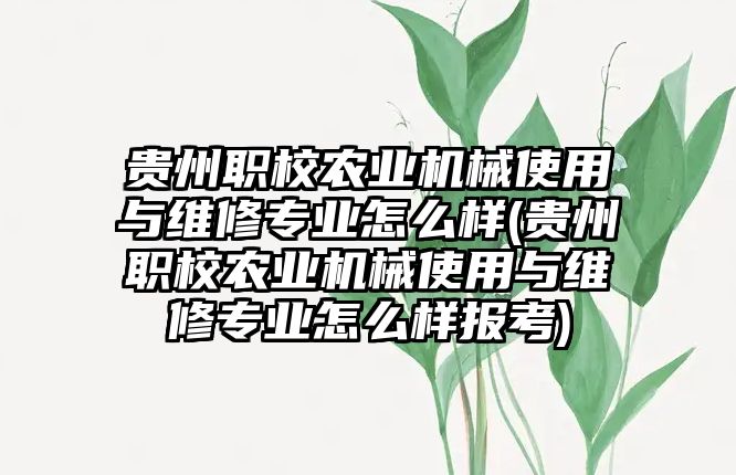 貴州職校農(nóng)業(yè)機(jī)械使用與維修專業(yè)怎么樣(貴州職校農(nóng)業(yè)機(jī)械使用與維修專業(yè)怎么樣報(bào)考)