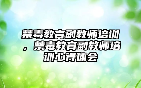 禁毒教育副教師培訓(xùn)，禁毒教育副教師培訓(xùn)心得體會