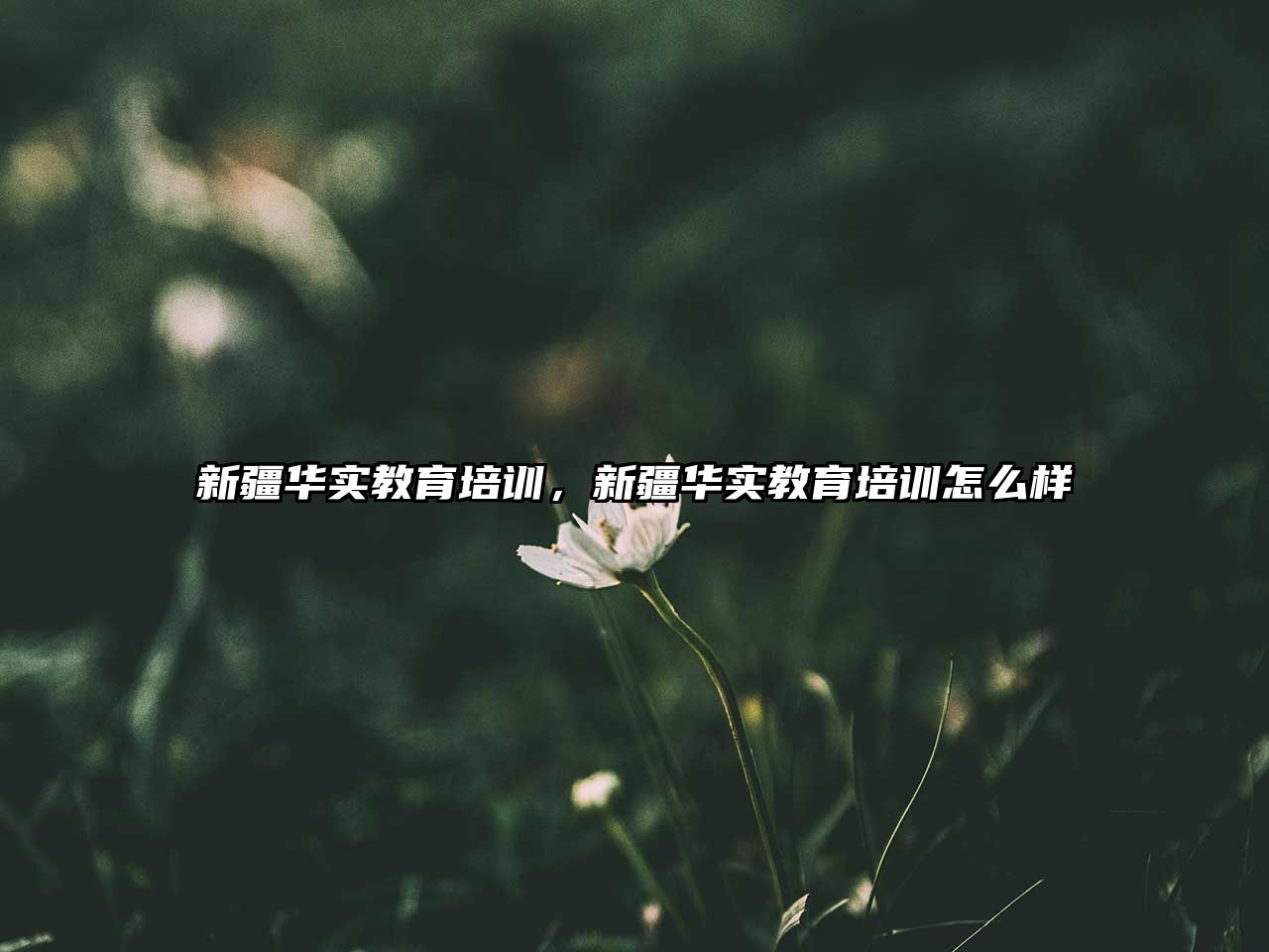 新疆華實(shí)教育培訓(xùn)，新疆華實(shí)教育培訓(xùn)怎么樣