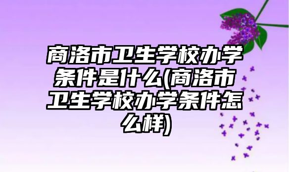 商洛市衛(wèi)生學(xué)校辦學(xué)條件是什么(商洛市衛(wèi)生學(xué)校辦學(xué)條件怎么樣)