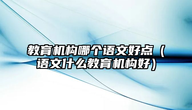 教育機構哪個語文好點（語文什么教育機構好）