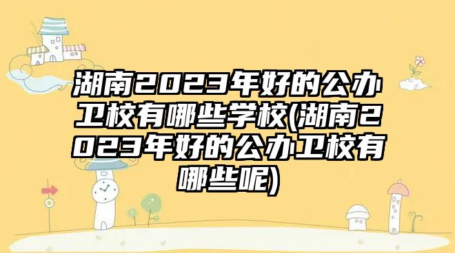 湖南2023年好的公辦衛(wèi)校有哪些學(xué)校(湖南2023年好的公辦衛(wèi)校有哪些呢)