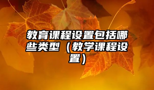 教育課程設置包括哪些類型（教學課程設置）