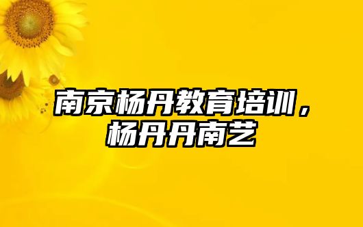 南京楊丹教育培訓(xùn)，楊丹丹南藝