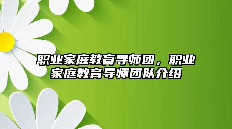 職業(yè)家庭教育導(dǎo)師團(tuán)，職業(yè)家庭教育導(dǎo)師團(tuán)隊(duì)介紹