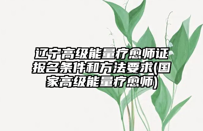 遼寧高級能量療愈師證報名條件和方法要求(國家高級能量療愈師)