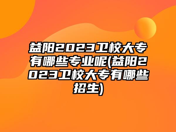 益陽(yáng)2023衛(wèi)校大專有哪些專業(yè)呢(益陽(yáng)2023衛(wèi)校大專有哪些招生)