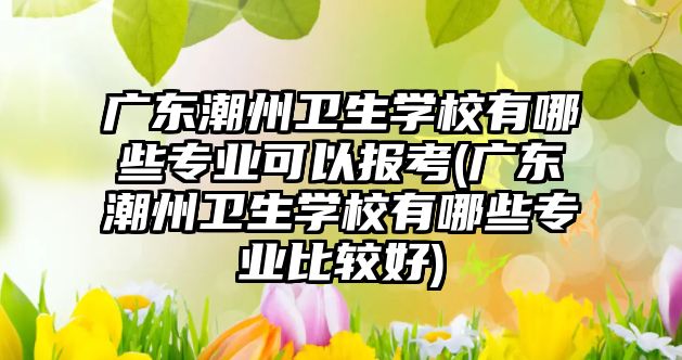 廣東潮州衛(wèi)生學(xué)校有哪些專業(yè)可以報考(廣東潮州衛(wèi)生學(xué)校有哪些專業(yè)比較好)