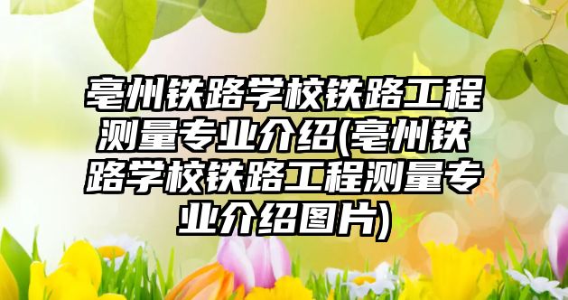 亳州鐵路學校鐵路工程測量專業(yè)介紹(亳州鐵路學校鐵路工程測量專業(yè)介紹圖片)