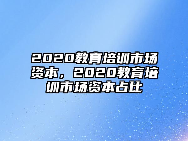 2020教育培訓(xùn)市場(chǎng)資本，2020教育培訓(xùn)市場(chǎng)資本占比