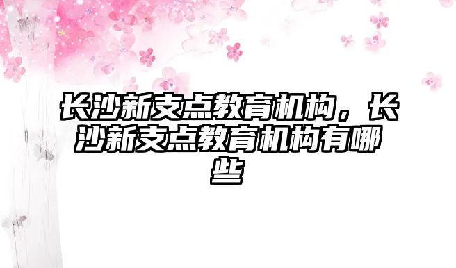 長沙新支點教育機(jī)構(gòu)，長沙新支點教育機(jī)構(gòu)有哪些