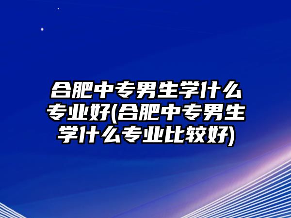 合肥中專男生學(xué)什么專業(yè)好(合肥中專男生學(xué)什么專業(yè)比較好)