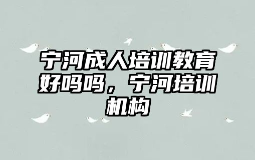 寧河成人培訓(xùn)教育好嗎嗎，寧河培訓(xùn)機(jī)構(gòu)