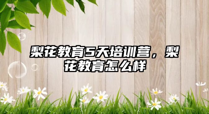 梨花教育5天培訓(xùn)營(yíng)，梨花教育怎么樣