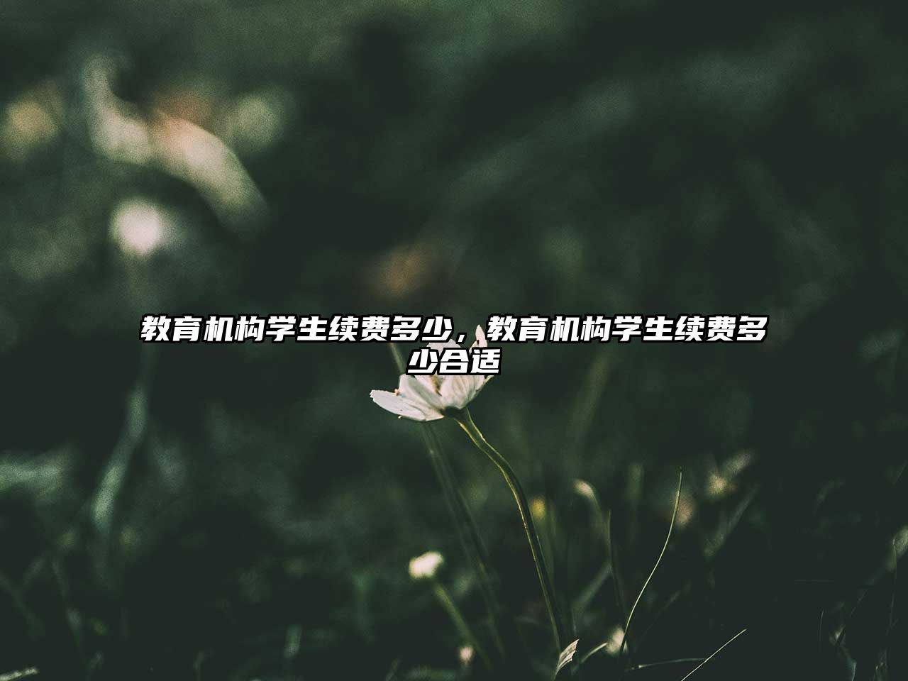 教育機構(gòu)學(xué)生續(xù)費多少，教育機構(gòu)學(xué)生續(xù)費多少合適