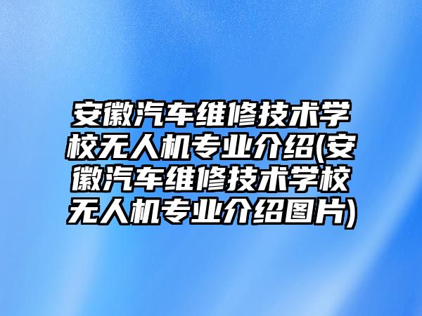 安徽汽車維修技術學校無人機專業(yè)介紹(安徽汽車維修技術學校無人機專業(yè)介紹圖片)