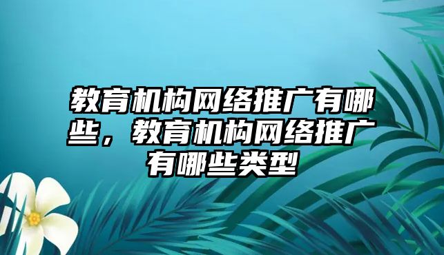 教育機(jī)構(gòu)網(wǎng)絡(luò)推廣有哪些，教育機(jī)構(gòu)網(wǎng)絡(luò)推廣有哪些類型