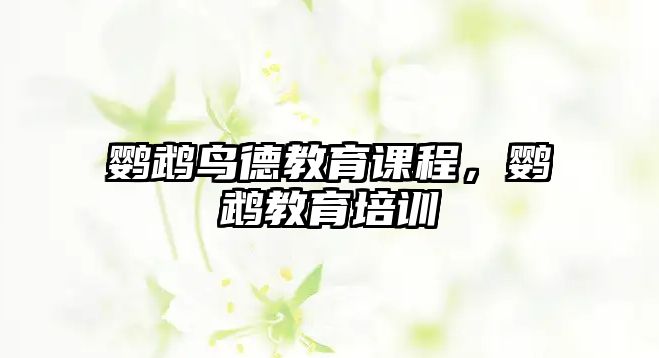 鸚鵡鳥德教育課程，鸚鵡教育培訓(xùn)