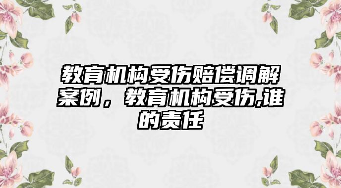 教育機(jī)構(gòu)受傷賠償調(diào)解案例，教育機(jī)構(gòu)受傷,誰(shuí)的責(zé)任